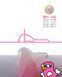 Zola Laminating rollers Chic Curl, 5 pairs